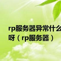rp服务器异常什么意思呀（rp服务器）