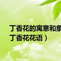 丁香花的寓意和象征（丁香花花语）