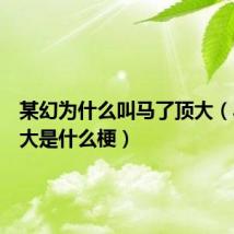 某幻为什么叫马了顶大（马了顶大是什么梗）