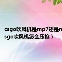 csgo吹风机是mp7还是mp9（csgo吹风机怎么压枪）