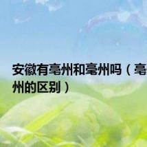 安徽有亳州和毫州吗（亳州和毫州的区别）