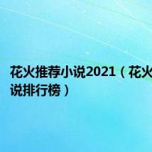 花火推荐小说2021(花火畅销小说排行榜)