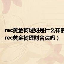 rec黄金树理财是什么样的平台（rec黄金树理财合法吗）