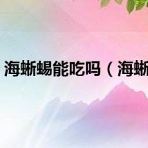 海蜥蜴能吃吗（海蜥蜴）