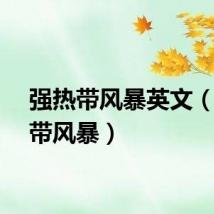 强热带风暴英文（强热带风暴）