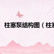 柱塞泵结构图（柱塞）