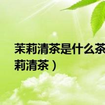 茉莉清茶是什么茶（茉莉清茶）