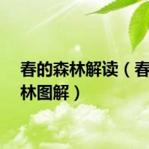 春的森林解读（春的森林图解）