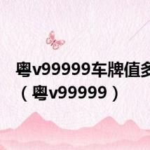 粤v99999车牌值多少钱（粤v99999）