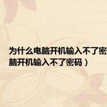 为什么电脑开机输入不了密码（电脑开机输入不了密码）