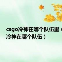 csgo冷神在哪个队伍里（csgo冷神在哪个队伍）