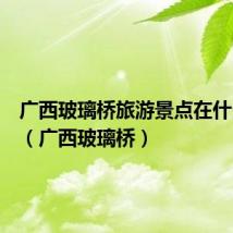 广西玻璃桥旅游景点在什么地方（广西玻璃桥）