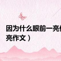 因为什么眼前一亮作文（亮作文）