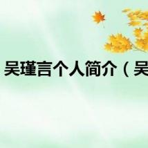 吴瑾言个人简介（吴瑶）