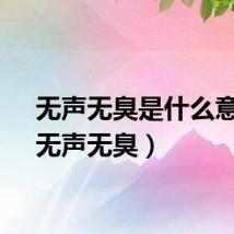 无声无臭是什么意思（无声无臭）