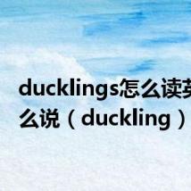 ducklings怎么读英语怎么说(duckling)
