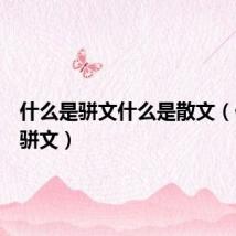 什么是骈文什么是散文（什么是骈文）