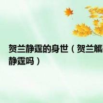 贺兰静霆的身世（贺兰觿是贺兰静霆吗）