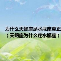 为什么天蝎座是水瓶座真正的克星(天蝎座为什么疼水瓶座)