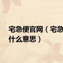 宅急便官网（宅急便是什么意思）