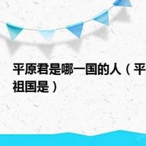 平原君是哪一国的人(平原君的祖国是)
