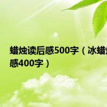 蜡烛读后感500字（冰蜡烛读后感400字）
