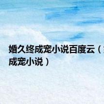 婚久终成宠小说百度云(婚久终成宠小说)