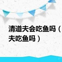 清道夫会吃鱼吗（清道夫吃鱼吗）