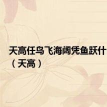 天高任鸟飞海阔凭鱼跃什么意思（天高）