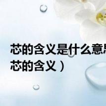 芯的含义是什么意思啊（芯的含义）