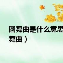 圆舞曲是什么意思（圆舞曲）