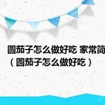 圆茄子怎么做好吃 家常简单做法（圆茄子怎么做好吃）
