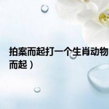 拍案而起打一个生肖动物（拍案而起）