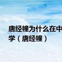 唐经幢为什么在中山小学（唐经幢）