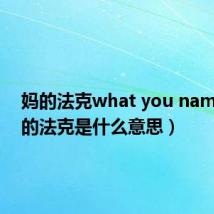 妈的法克what you name(妈的法克是什么意思)