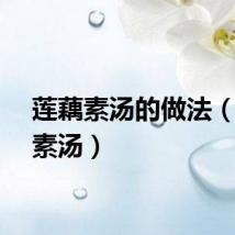 莲藕素汤的做法（莲藕素汤）