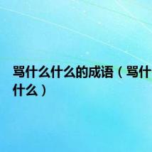 骂什么什么的成语(骂什么什么什么)