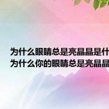 为什么眼睛总是亮晶晶是什么歌(为什么你的眼睛总是亮晶晶)