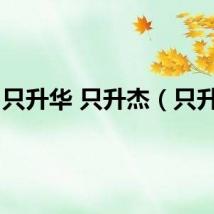 只升华 只升杰（只升华）