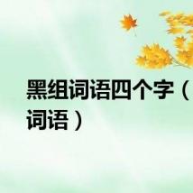 黑组词语四个字（黑组词语）