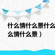 什么情什么景什么（什么情什么景）