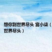 想你到世界尽头 宫小柒(想你到世界尽头)