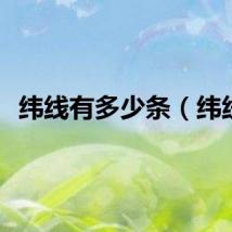 纬线有多少条（纬线）