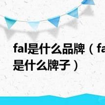fal是什么品牌（fashln是什么牌子）