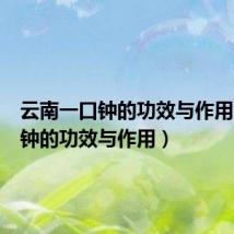 云南一口钟的功效与作用(一口钟的功效与作用)