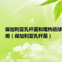 保加利亚乳杆菌和嗜热链球菌的作用（保加利亚乳杆菌）