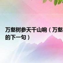 万壑树参天千山响（万壑树参天的下一句）
