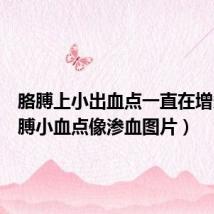胳膊上小出血点一直在增多（胳膊小血点像渗血图片）