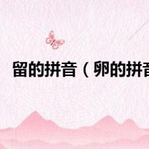 留的拼音（卵的拼音）