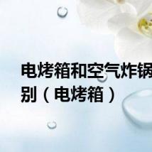 电烤箱和空气炸锅的区别（电烤箱）